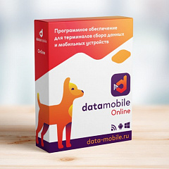 DataMobile, версия Online в Чите